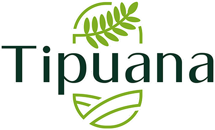 Tipuana